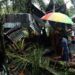 Pohon Kelapa Tumbang Timpa Rumah di Pasaman Barat, Lansia 65 Tahun Tewas