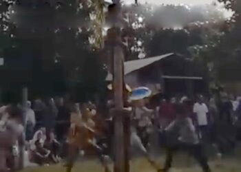 Video: Detik-detik Peserta Panjat Pinang Jatuh di Limapuluh Kota saat Perayaan Idulfitri