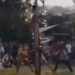Video: Detik-detik Peserta Panjat Pinang Jatuh di Limapuluh Kota saat Perayaan Idulfitri