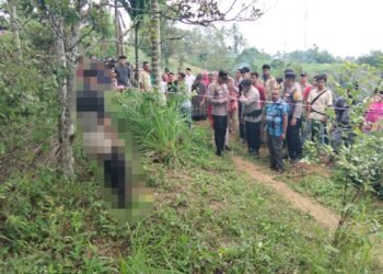 Dilaporkan Setubuhi Anak Kandung, Pria di Limapuluh Kota Kabur, Ditemukan Tewas Tergantung