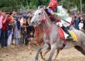 Pacu Kuda Padang Pariaman Diserbu Ribuan Pengunjung, Parkir dan UMKM Panen Rezeki