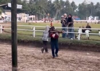 Bocah Tertabrak Kuda Saat Latihan Pacu di Padang Pariaman, Pemkab Imbau Pengawasan Anak