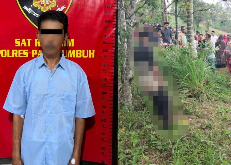 Tersangka penyetubuh anak kandung di Nagari Situjuah Batua ditangkap polisi (kiri) dan terlapor penyetubuh anak di Nagari Situjuah Banda Dalam tewas tergantung