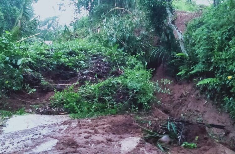 Tanah longsor dan pohon kelapa tumbang terjadi di Jorong Tanjung Bungo, Nagari Situjuah Gadang, Kecamatan Situjuah Limo Nagari, Limapuluh Kota, pada Senin (30/3/2026) sekitar pukul 19.30 WIB.