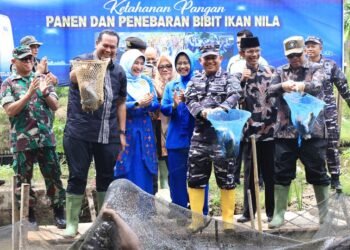 Panen Raya 1,5 Ton Ikan Nila, Pemko Pariaman Apresiasi Langkah Kodaeral II Padang Dukung Ketahanan Pangan