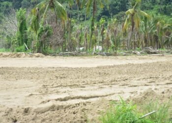 Pemkab Padang Pariaman Percepat Pemulihan Lahan Pertanian Pascabanjir