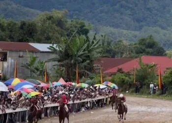 Bukittinggi–Agam Siapkan Pacu Kuda Wisata Derby 2026, Gratis untuk Penonton