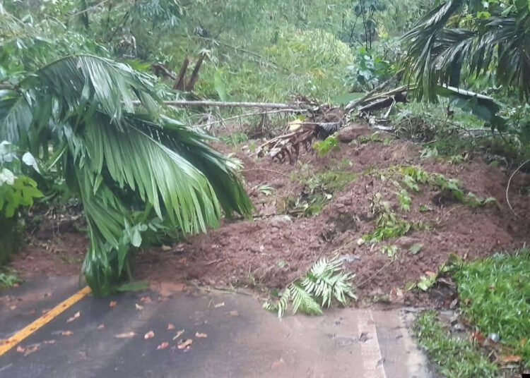 Jalan nasional Bukittinggi—Medan di km 32, Jorong Sariak Laweh, Nagari Nan Limo, Kecamatan Palupuh, Agam, ditimbun material longsor pada Rabu (1/4/2026) pagi. Akibatnya, akses jalan tersebut putus total.