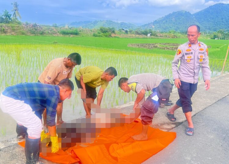 Polisi mengevakuasi mayat yang ditemukan di pinggir sawah di Kampung Cumateh, Nagari Duku, Kecamatan Koto XI Tarusan, Pesisir Selatan, pada Selasa (24/3/2026) pagi.