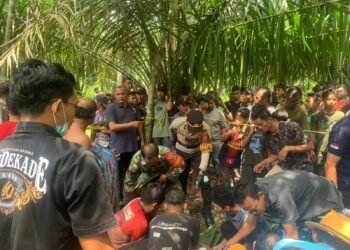 Pria 24 Tahun Ditemukan Tewas Tergantung di Kebun Karet Dharmasraya