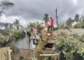 Hujan Disertai Angin Kencang, Pohon Tumbang Timpa Rumah di Padang