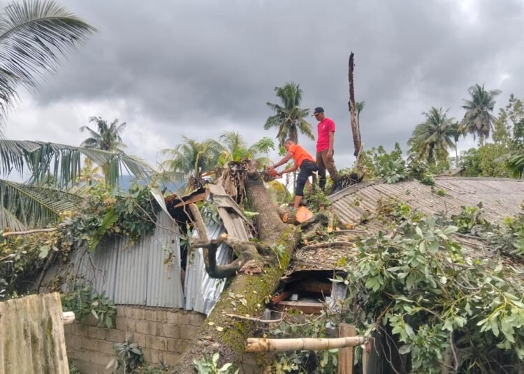 Sebuah pohon tumbang menimpa rumah warga di Ulu Gadut, Kelurahan Limau Manis Selatan, Kecamatan Pauh, Padang, pada Sabtu (5/4/2026) sekitar pukul 15.20 WIB. Foto: BPBD Padang
