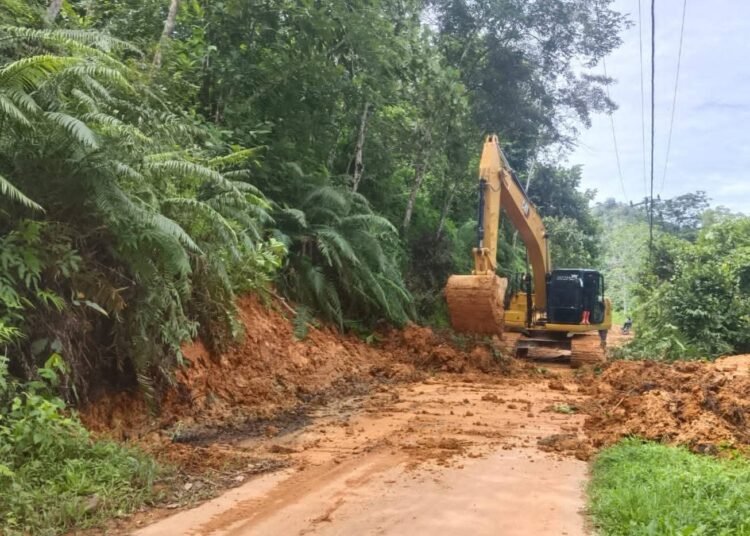 Pemerintah Kabupaten Dharmasraya mengerahkan dua unit alat berat untuk menangani longsor dan banjir yang terjadi di Jorong Lubuk Talaok, Nagari Banai, Kecamatan Sembilan Koto.