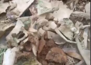 Kerangka Manusia Ditemukan Tertimbun di Agam, Diduga Korban Bencana Galodo 2025