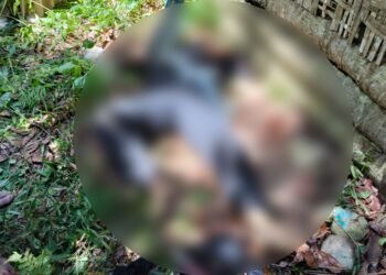 Seorang wanita paruh baya ditemukan tewas di sebuah kebun di Jorong Sampanjang, Nagari Sungai Rimbang, Kecamatan Suliki, Limapuluh Kota, pada Rabu (8/4/2026) sekitar 12.15 WIB. Foto: Polsek Suliki