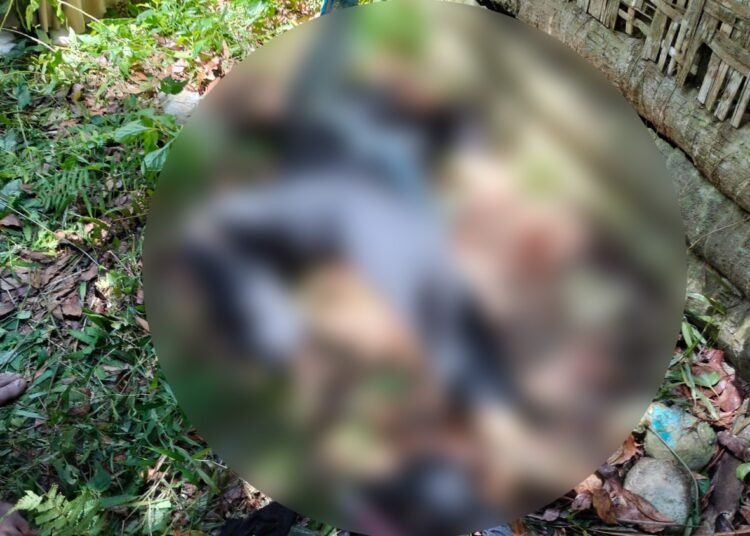 Seorang wanita paruh baya ditemukan tewas di sebuah kebun di Jorong Sampanjang, Nagari Sungai Rimbang, Kecamatan Suliki, Limapuluh Kota, pada Rabu (8/4/2026) sekitar 12.15 WIB. Foto: Polsek Suliki