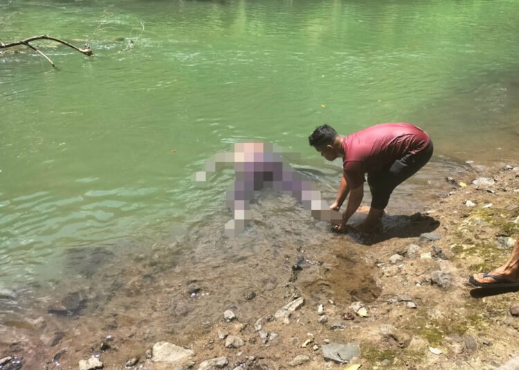 Seorang pria bernama Ari Yusman (55) ditemukan tewas tersangkut di batang pohon di aliran Sungai Batang Agam, Limapuluh Kota, Minggu (12/4/2026).