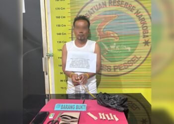 Polisi Tangkap Pengedar Ganja di Pesisir Selatan, 7 Paket Barang Bukti Disita