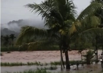 Hendak Hadiri Wisuda, Dua Warga Pasaman Barat Hanyut Terseret Banjir di Pasaman