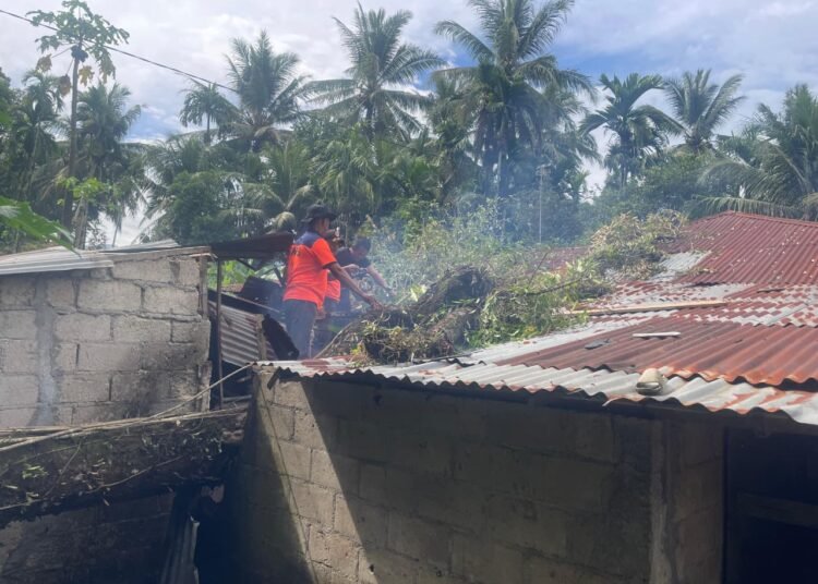 Sebuah pohon durian tumbang dan menimpa rumah warga di Jalan Kampung Jambak, Kelurahan Koto Lalang, Kecamatan Lubuk Kilangan, Padang, Rabu (15/4/2026) pagi. Foto: BPBD Padang