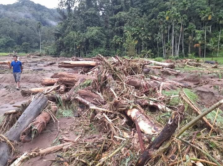 Sawah warga di Nagari Alahan Mati, Kecamatan Simpang Alahan Mati, Kabupaten Pasaman, tertimbun kayu gelondongan usai banjir bandang menerjang wilayah tersebut pada Selasa (14/4/2026) sore. Foto: Tangkapan layar media sosial