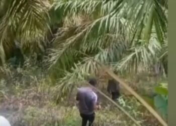 Pemburu Babi Tewas Tertembak di Padang Pariaman, Polisi Ungkap Tembakan Bersarang di Dada