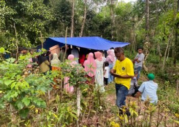 Seorang Penambang Dilaporkan Tewas Tertimpa Pohon di Tambang Ilegal Pasaman