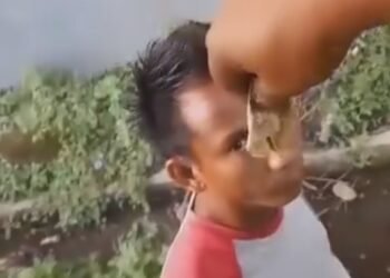 Viral! Sopir Truk di Padang Kena Pungli Saat Antre Bongkar Muatan