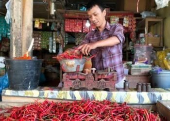 Harga Cabai Merah di Padang Pariaman Naik Dalam Dua Hari