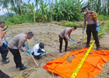 Bersihkan Sawah Bekas Banjir Bandang, Warga Padang Pariaman Temukan Kerangka Manusia