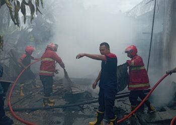Api Hanguskan Rumah Petani di Padang Pariaman, 3 Mobil Damkar Dikerahkan