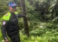 Detik-Detik Granmax Terjun ke Jurang 20 Meter di Jalan Sumbar-Riau, Tiga Penumpang Selamat