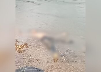 Siswa SD di Pasaman Tewas Tenggelam Saat Mandi-Mandi di Sungai