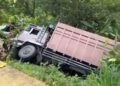 Video: Truk Terjun ke Jurang di Jalan Lintas Solok–Padang, Diduga Patah Sambungan Rem