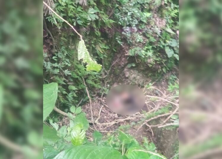 Seorang warga lanjut usia bernama Martiza (80) yang sebelumnya dilaporkan hilang, ditemukan meninggal dunia di kawasan Jorong Sianok, Nagari Sianok VI Suku, Kecamatan IV Koto, Kabupaten Agam, Sumatera Barat, pada Selasa (28/4/2026) sekitar pukul 11.00 WIB. Foto: Tnagkapan layar media sosial