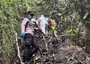 Detik-Detik Lansia Ditemukan Tewas di Dasar Ngarai Sianok Agam