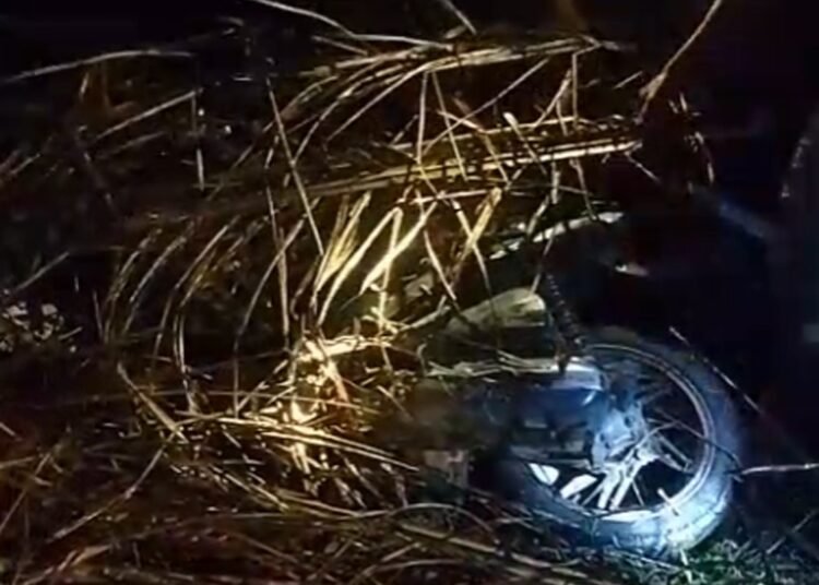 Beredar di media sosial sebuah video yang memperlihatkan diduga motor curian gagal dibawa kabur hingga pelaku menyembunyikan kendaraan tersebut di semak belukar dan menimbunnya dengan daun batang sawit. Foto: Tangkapan layar medis sosial