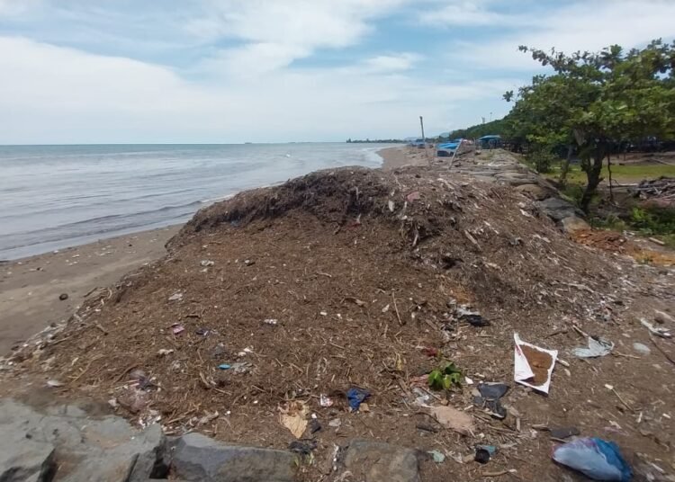 Pantai Muaro Lasak, Kota Padang, Sumatera Barat, masih dipenuhi sampah sisa banjir bandang yang terjadi pada November 2025. Kondisi ini mengganggu estetika kawasan wisata yang menjadi salah satu ikon kota tersebut.