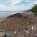 Sampah Sisa Banjir Bandang 2025 Masih Menumpuk di Pantai Muaro Lasak, Pemko Padang Akui Pembersihan Terkendala Teknis