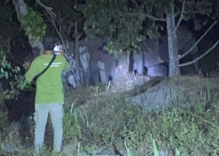 Kawanan 12 gajah liar memasuki kawasan perkebunan warga di Muara Fajar, Kecamatan Rumbai, Kota Pekanbaru, Riau, pada Sabtu (30/5/2026) malam. Foto: Media Center Riau