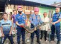 Damkar Padang Kebanjiran Laporan Rescue, dari Ular Masuk Rumah hingga Cincin Tersangkut