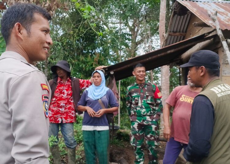 Tiga warga di Kecamatan Matur, Kabupaten Agam, Sumatera Barat, sempat terjebak di pondok setelah bertemu Harimau Sumatera. Tim gabungan berhasil mengevakuasi korban dalam kondisi selamat.