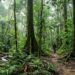 Diduga Ada Lahan Anggota DPRD Padang di Suaka Margasatwa dan Hutan Lindung