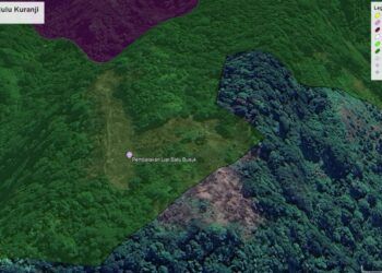 Dinas Kehutanan Sumbar Bantah Longsor di Hulu DAS karena Pembalakan Liar