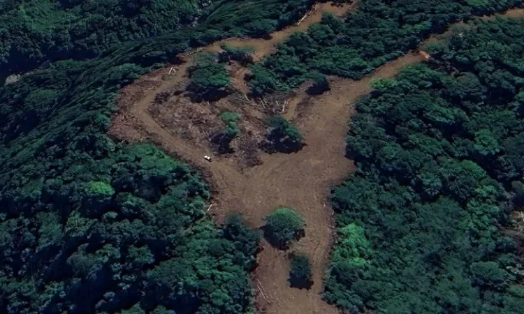 Citra satelit Maxar menunjukkan kondisi area hutan di hulu Daerah Aliran Sungai (DAS) Aia Dingin, Kota Padang pada akhir 2025. (Foto: Istimewa)