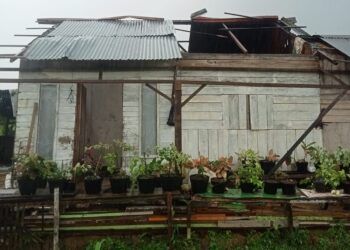 Video: Angin Puting Beliung Terjang Limapuluh Kota, Atap Rumah Warga Berterbangan