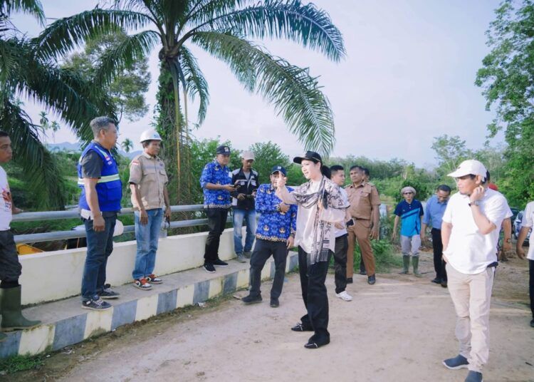 Bupati Dharmasraya, Annisa Suci Ramadhani, meninjau lanjutan pembangunan Jembatan Batang Mimpi di Nagari Sikabau, Kecamatan Pulau Punjung, Senin (4/5/2026).