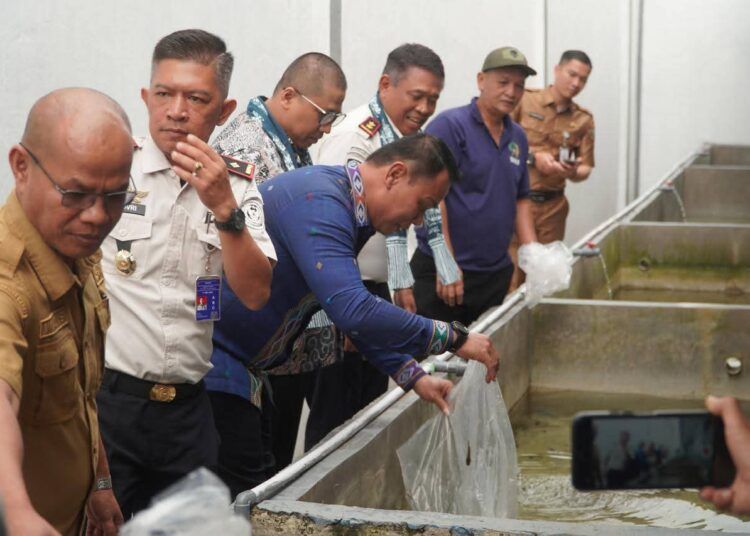 Wali Kota Hendri Arnis, bersama Kepala Kantor Wilayah Direktorat Jenderal Pemasyarakatan Sumatera Barat, Kunrat Kasmiri, melakukan pelepasan bibit ikan di Rumah Tahanan (Rutan) Kota Padang Panjang, Senin (4/5/2026).