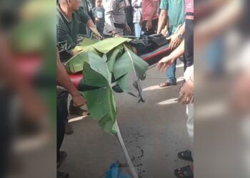 Tragis, Pelajar SD Pengendara Motor Tewas Kecelakaan di Dharmasraya