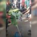 Tragis, Pelajar SD Pengendara Motor Tewas Kecelakaan di Dharmasraya